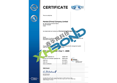 漢高股份-ISO 14001-English Version